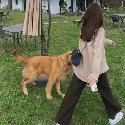 封神：妲己